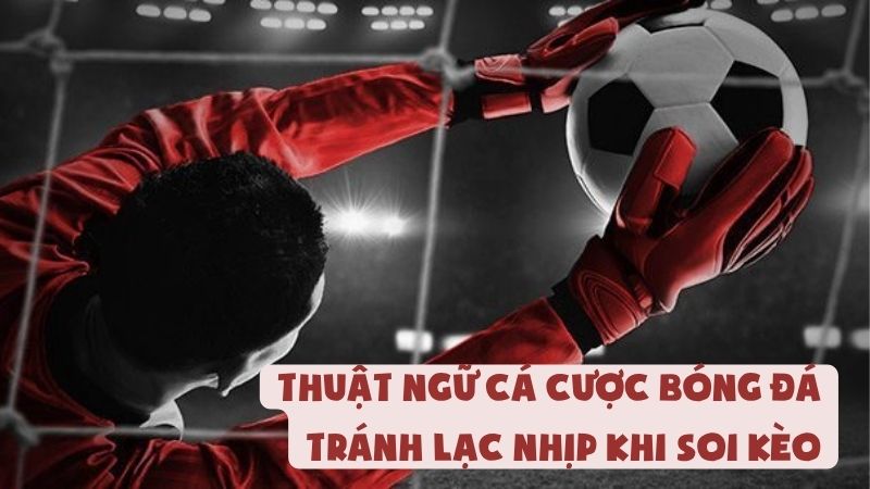 Thuật Ngữ Cá Cược Bóng Đá | Tránh Lạc Nhịp Khi Soi Kèo
